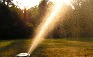 Newly installed pop-up sprinkler head in Highlands Ranch Colorado